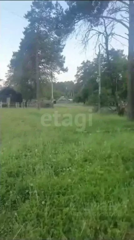 Участок в Амурская область, Благовещенский район, с. Натальино ... - Фото 0