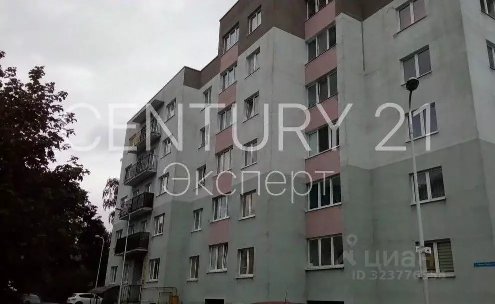 2-к кв. Калининградская область, Калининград ул. Сержанта Мишина, 22Б ... - Фото 2