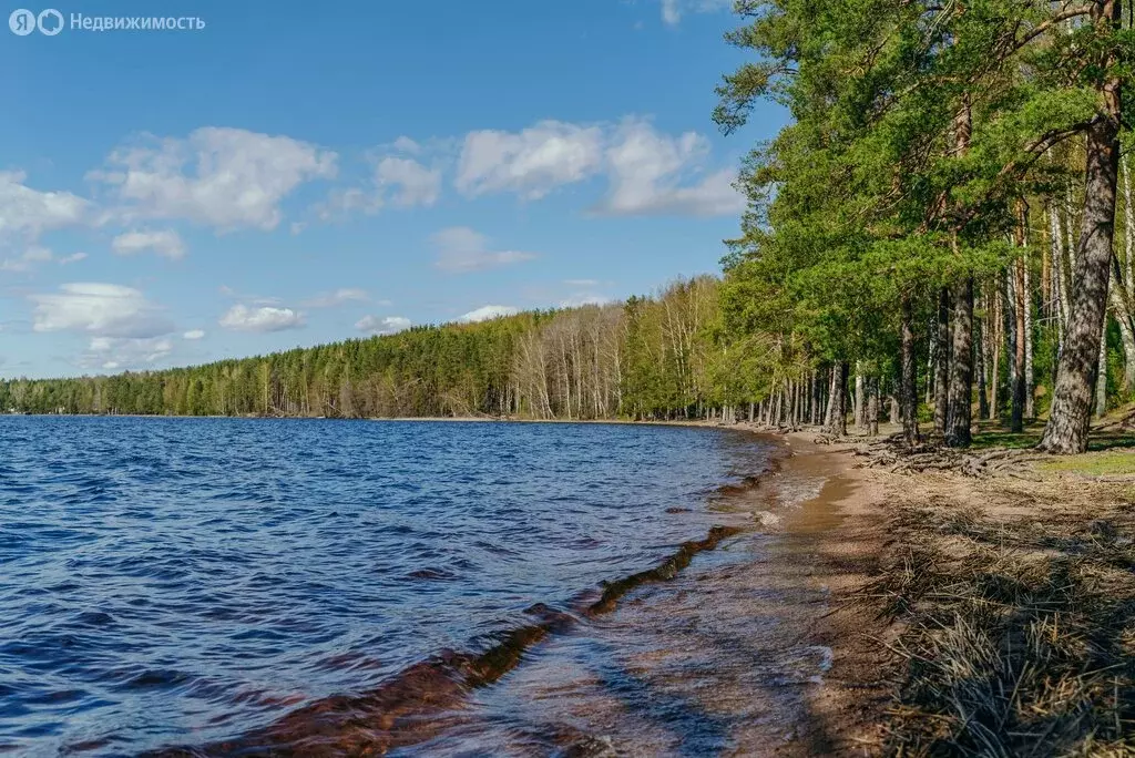 Участок в Выборгский район, Приморское городское поселение, КП Тишь да ... - Фото 0