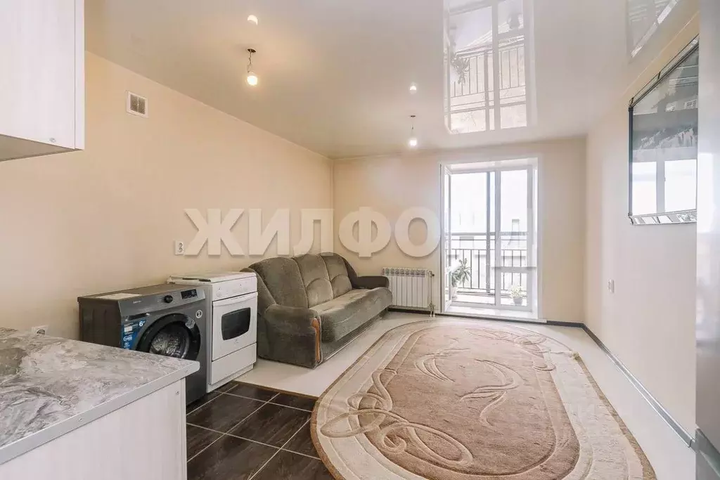 1-к кв. Новосибирская область, Новосибирск Кубовая ул., 96/2 (24.0 м) - Фото 1