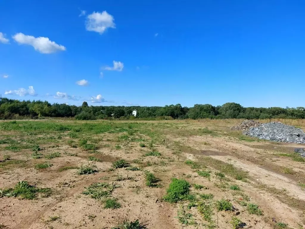 Участок в Хабаровский край, Хабаровский район, Тополевское с/пос, с. ... - Фото 2