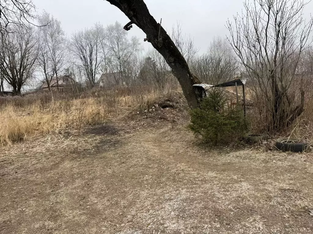 Участок в Московская область, Электроугли Богородский городской округ, ... - Фото 1