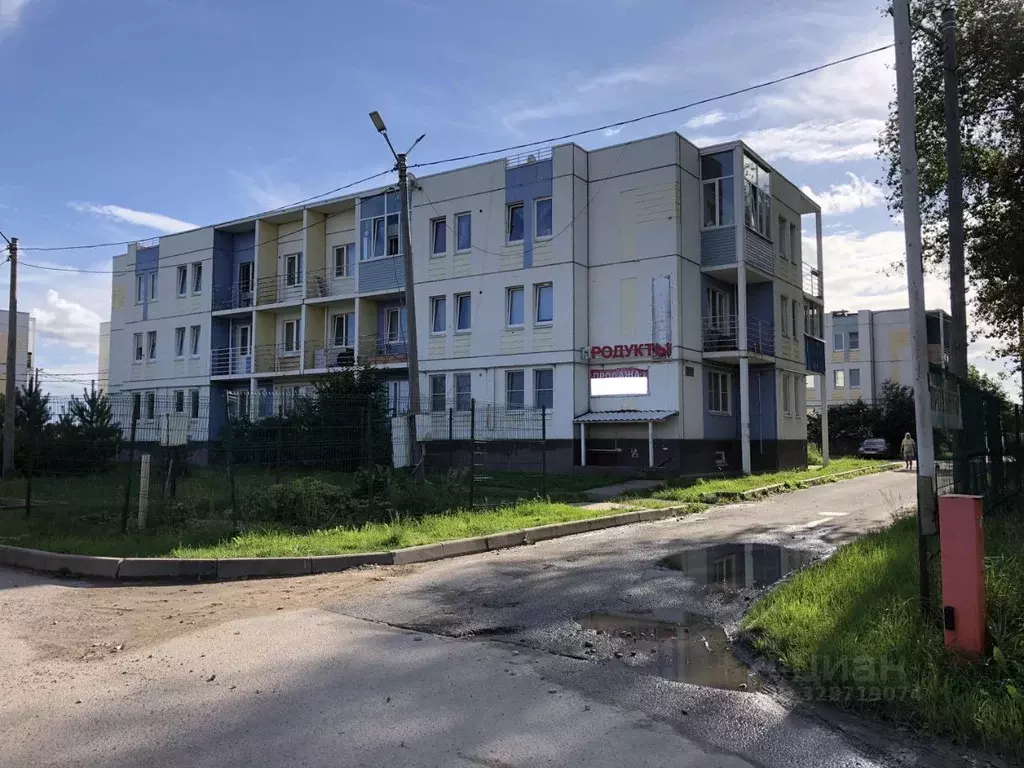 Торговая площадь в Ленинградская область, Гатчинский муниципальный ... - Фото 1