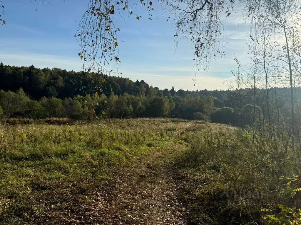 Участок в Москва № 16 кв-л, 92 (12.0 сот.) - Фото 1