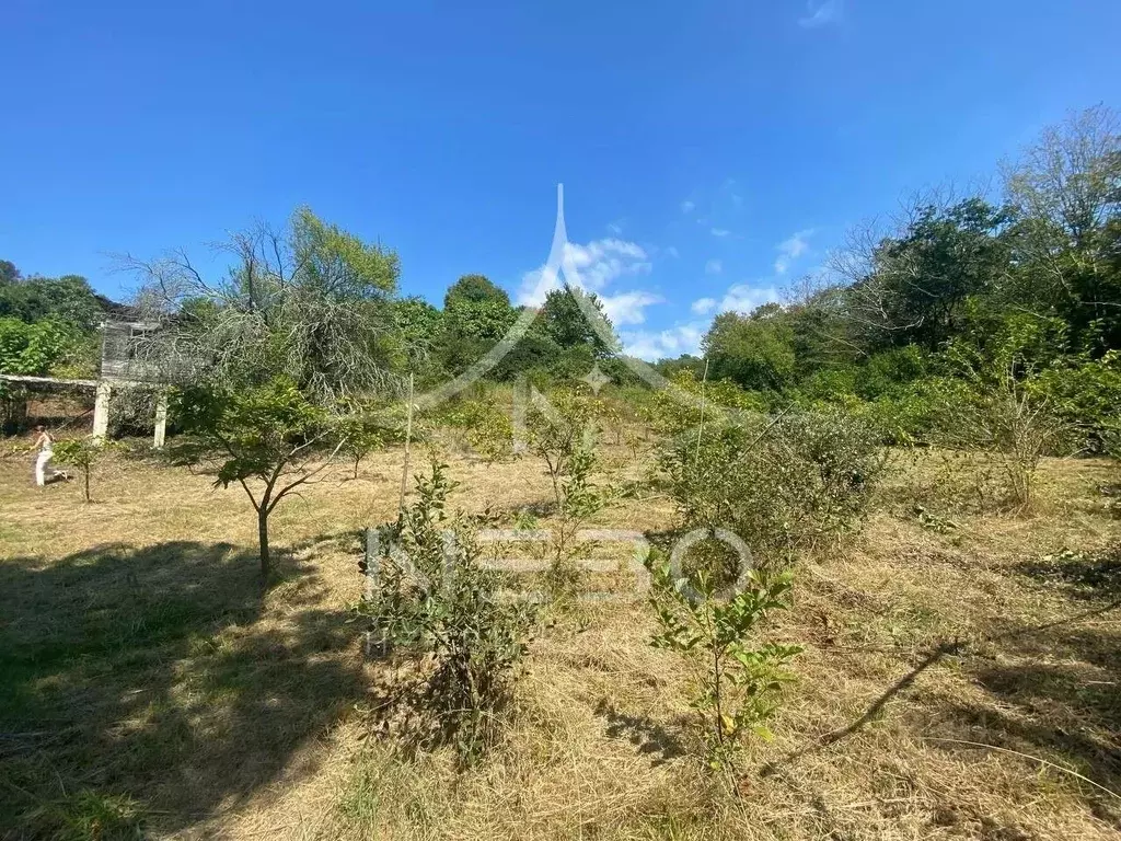 Участок в Краснодарский край, Сочи городской округ, с. Горное Лоо ул. ... - Фото 1