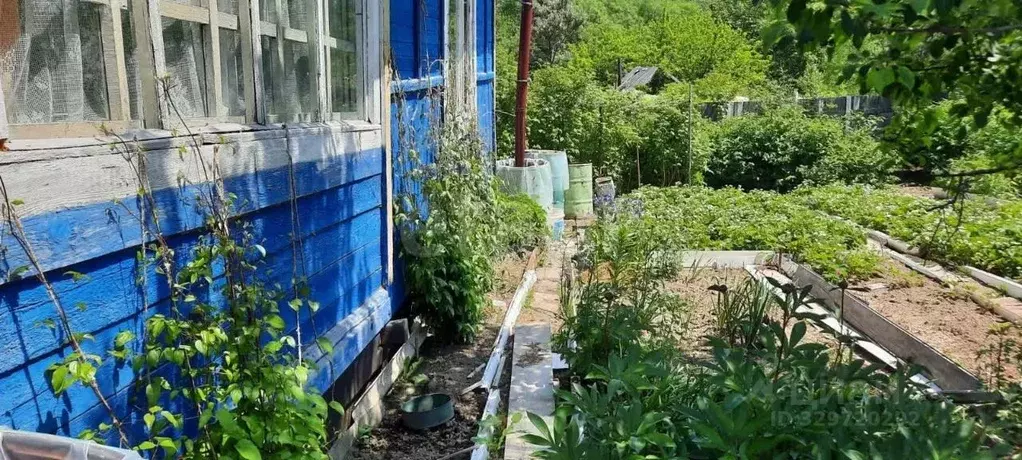 Участок в Сахалинская область, Южно-Сахалинск Ландыш СНТ, ул. ... - Фото 1