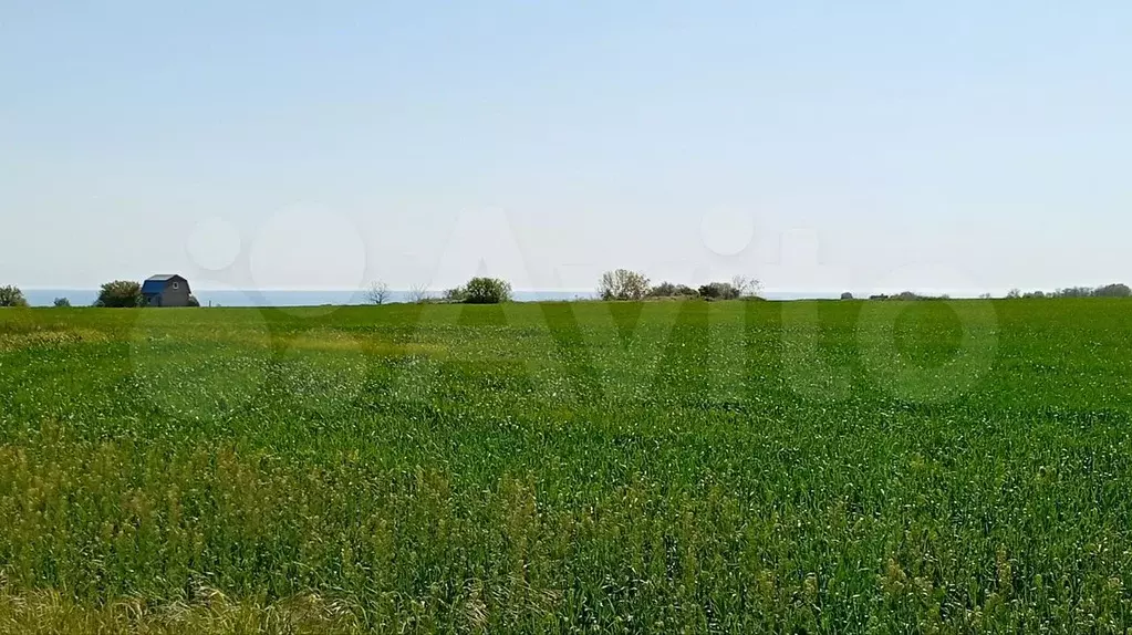 Участок 16 сот. (ИЖС) - Фото 0