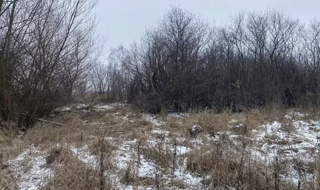 Участок в Московская область, Серебряные Пруды муниципальный округ, д. ... - Фото 1