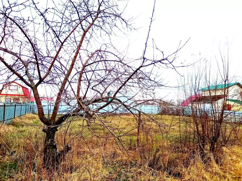 Дача 20 м на участке 6,3 сот. - Фото 1