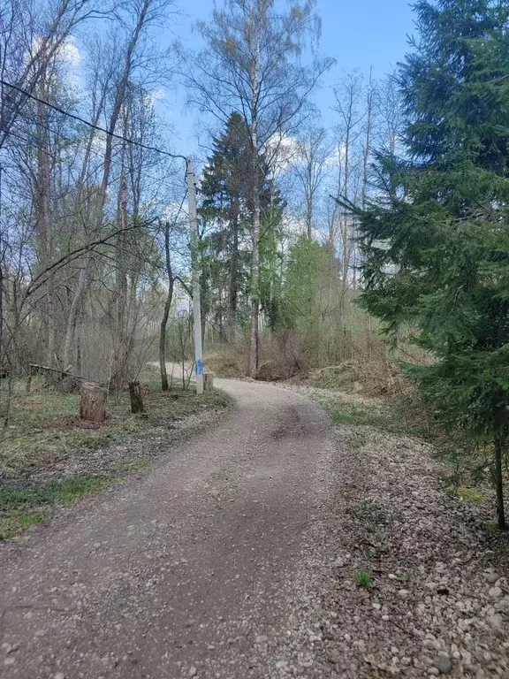 Участок 9,3 сот. (ИЖС) - Фото 0