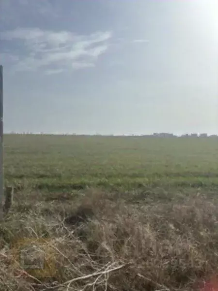 Участок в Крым, Сакский район, Молочненское с/пос, с. Витино  (6.0 ... - Фото 2