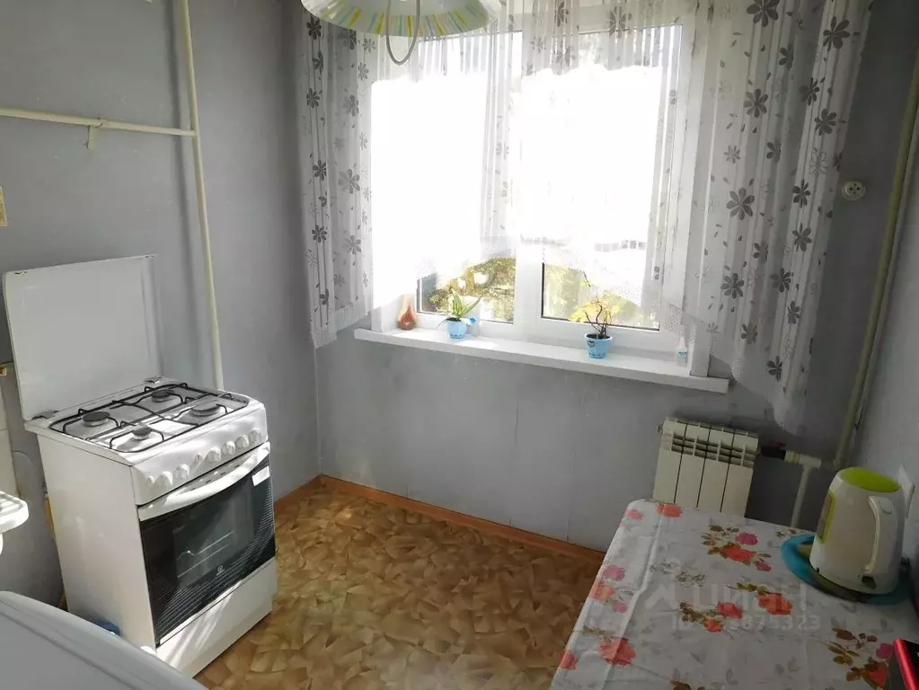 1-к кв. Алтайский край, Барнаул Интернациональная ул., 225 (31.1 м) - Фото 1