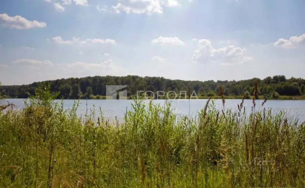 Участок в Новосибирская область, Новосибирский район, Березовский ... - Фото 2