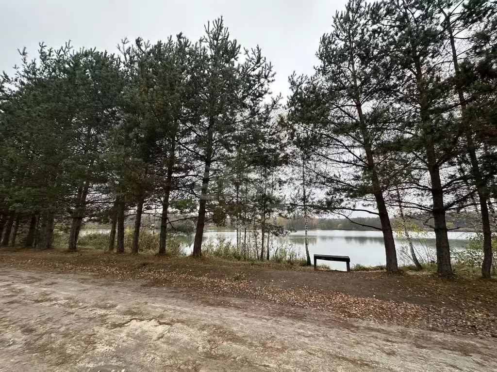 Участок в Брянская область, Брянский район, Новодарковичское с/пос, д. ... - Фото 0