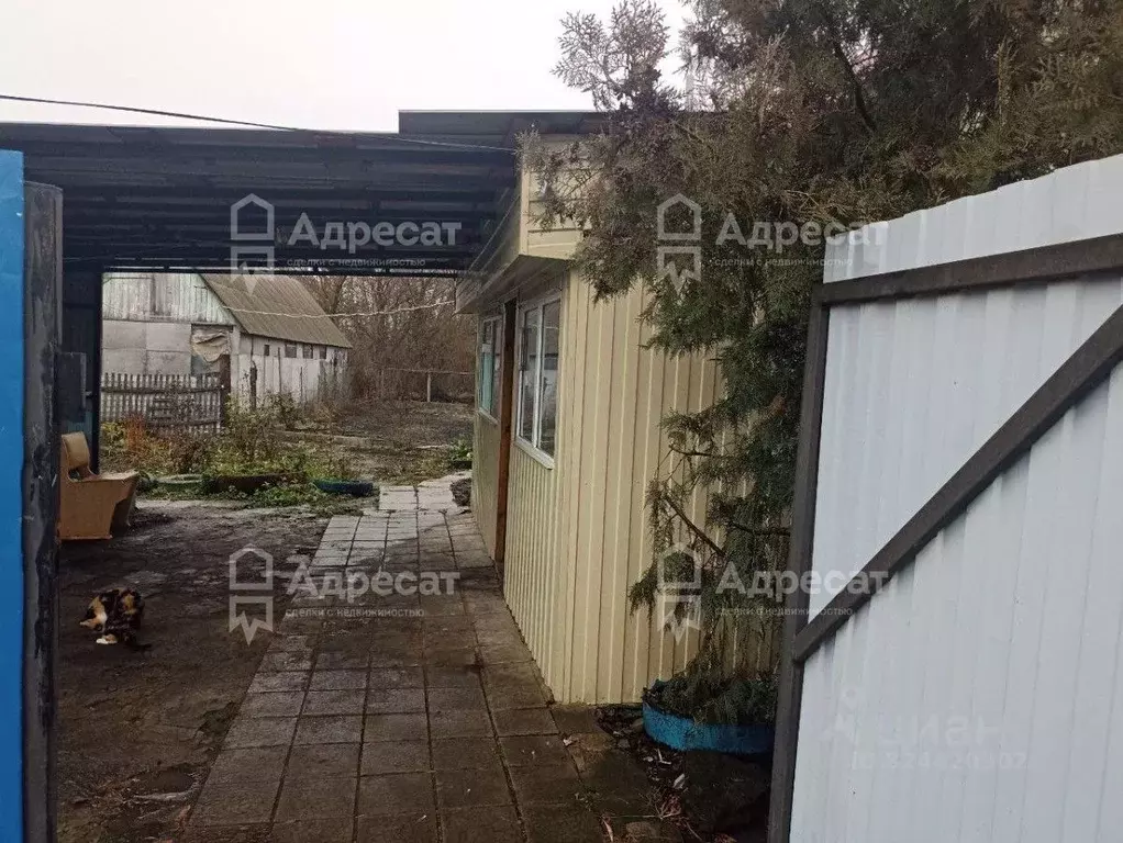 Дом в Волгоградская область, Новониколаевский рп пер. Красноармейский ... - Фото 1