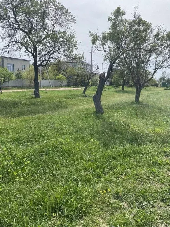 Участок в Севастополь с. Осипенко, ш. Качинское (6.2 сот.) - Фото 0