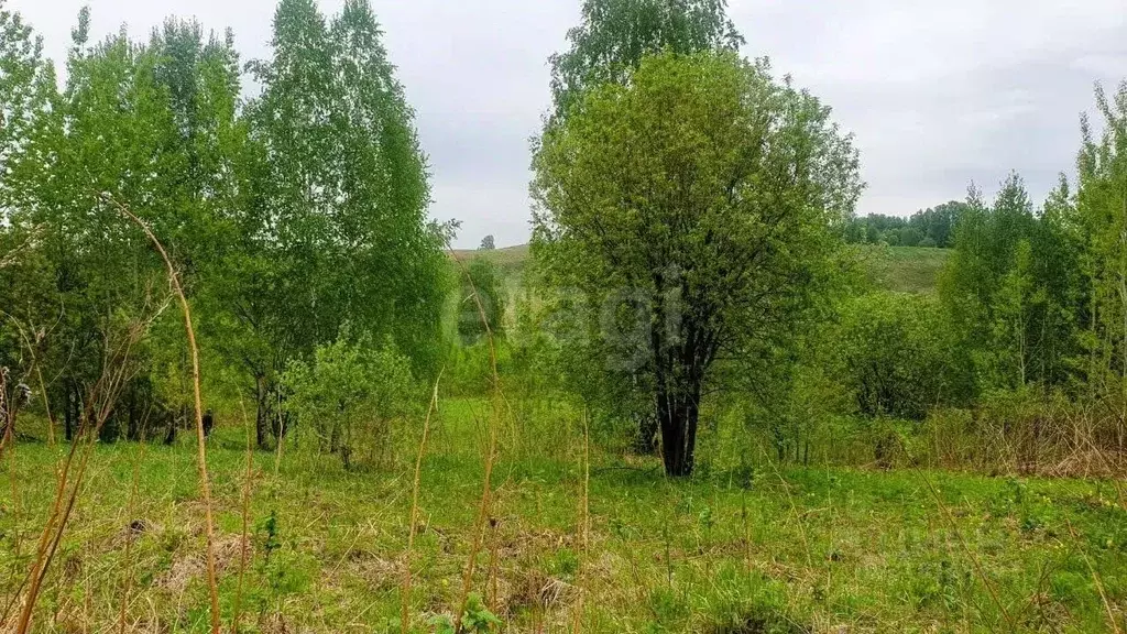 Участок в Алтай, Майминский район, с. Майма Береговая ул., 7 (6.0 ... - Фото 0