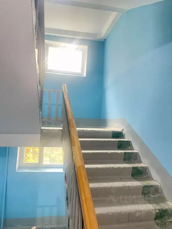 2-к кв. Ростовская область, Ростов-на-Дону просп. Королева, 15/1 (50.0 ... - Фото 2