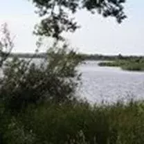 Участок в Ленинградская область, Лодейнопольский район, Доможировское ... - Фото 1