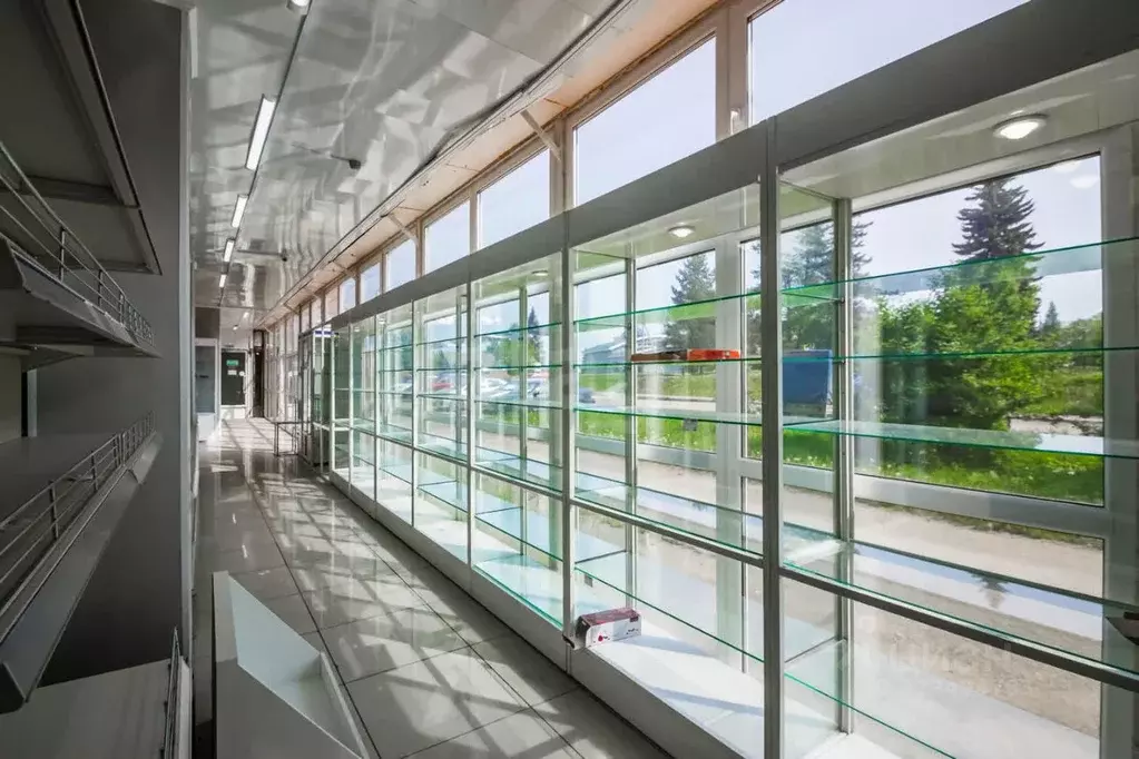 Торговая площадь в Вологодская область, Шексна рп, Шексна Южная мкр ... - Фото 2