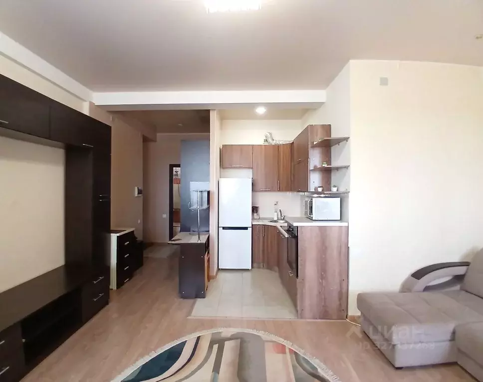 Студия Московская область, Богородский городской округ, д. Щемилово ... - Фото 2