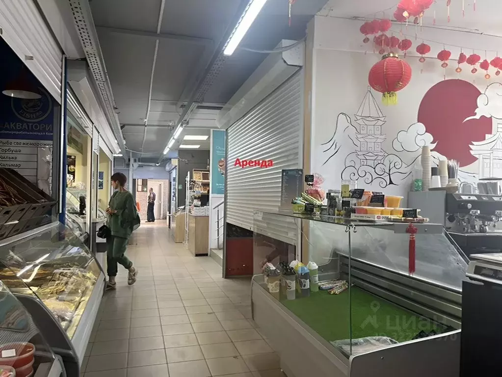 Торговая площадь в Новосибирская область, Новосибирск Красный просп., ... - Фото 1