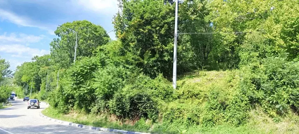 Участок в Краснодарский край, Хадыженск Апшеронский район, ... - Фото 2