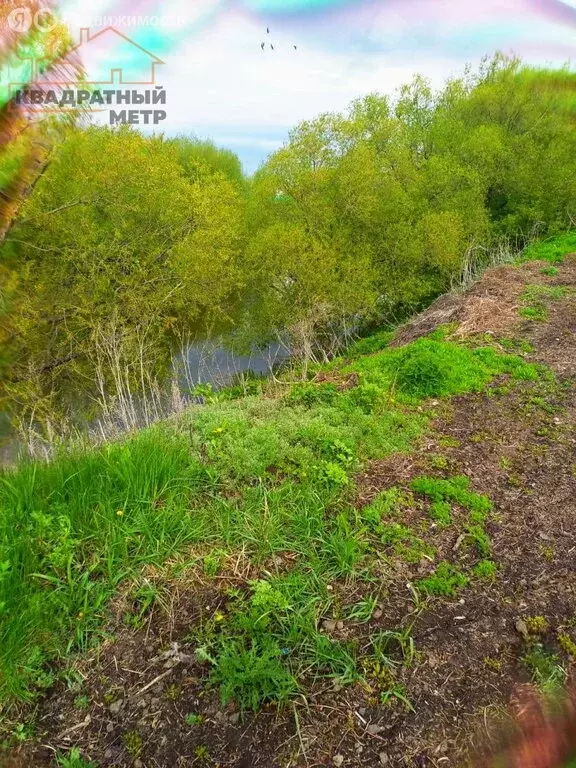 Дом в Новосёлкинское сельское поселение, село Моисеевка, Набережная ... - Фото 2