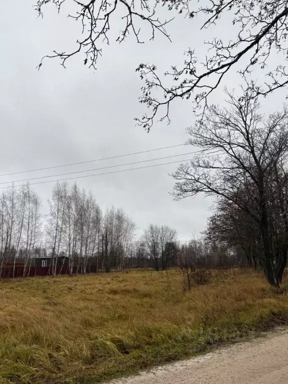 Участок в Московская область, Серпухов городской округ, с. Турово ул. ... - Фото 2