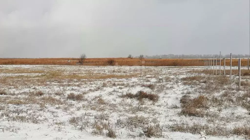 Участок в Краснодарский край, Брюховецкий район, Брюховецкая ст-ца ул. ... - Фото 0