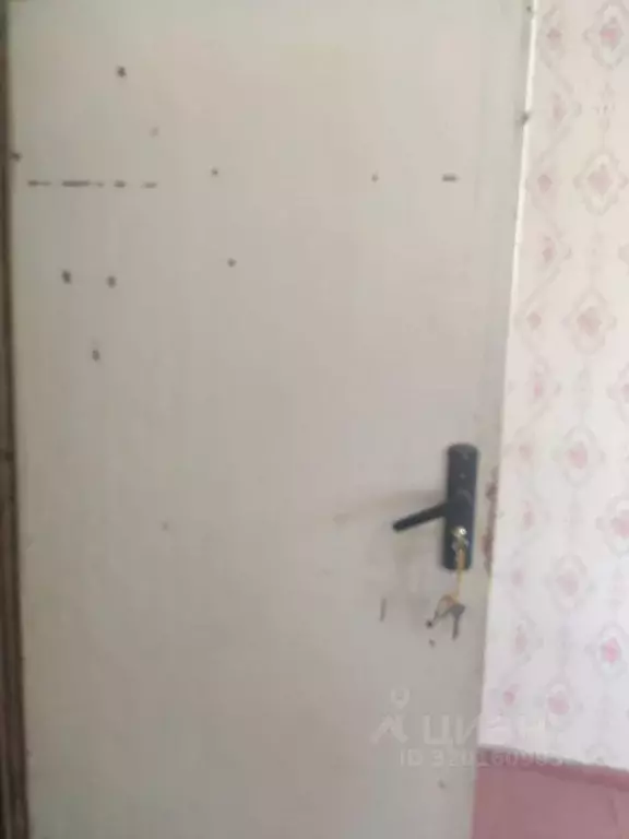 Помещение свободного назначения в Брянская область, Дятьково ул. ... - Фото 0