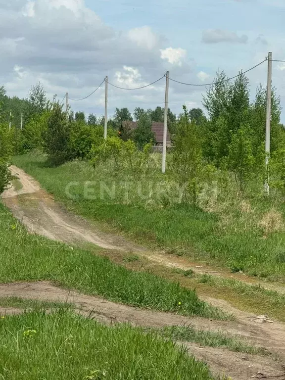 Участок в Алтайский край, Первомайский район, пос. Новый ул. ... - Фото 2