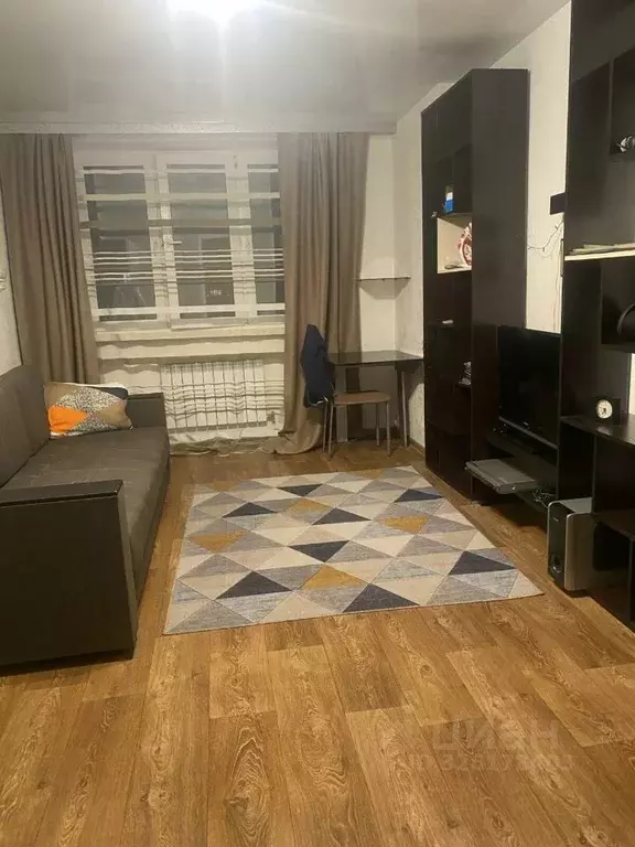 1-к кв. Нижегородская область, Дзержинск Прибрежная тер., наб. Окская, ... - Фото 2