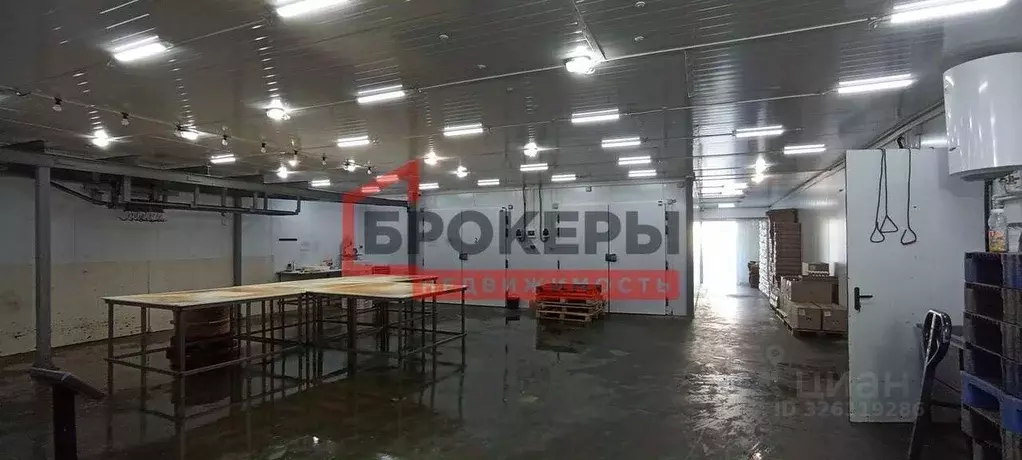 Помещение свободного назначения в Севастополь ул. Паршина, 11А (531 м) - Фото 2