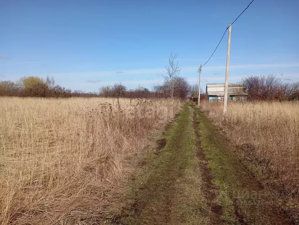 Участок в Курская область, Курский район, Ноздрачевский сельсовет, ... - Фото 2