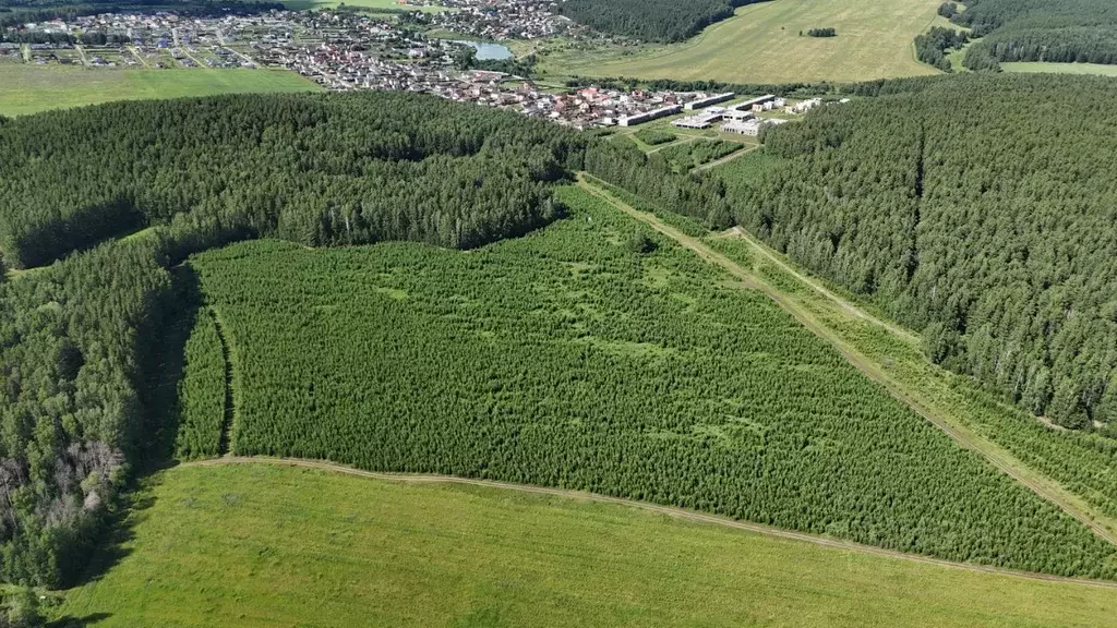 Участок в Свердловская область, Сысертский муниципальный округ, Домо ... - Фото 2