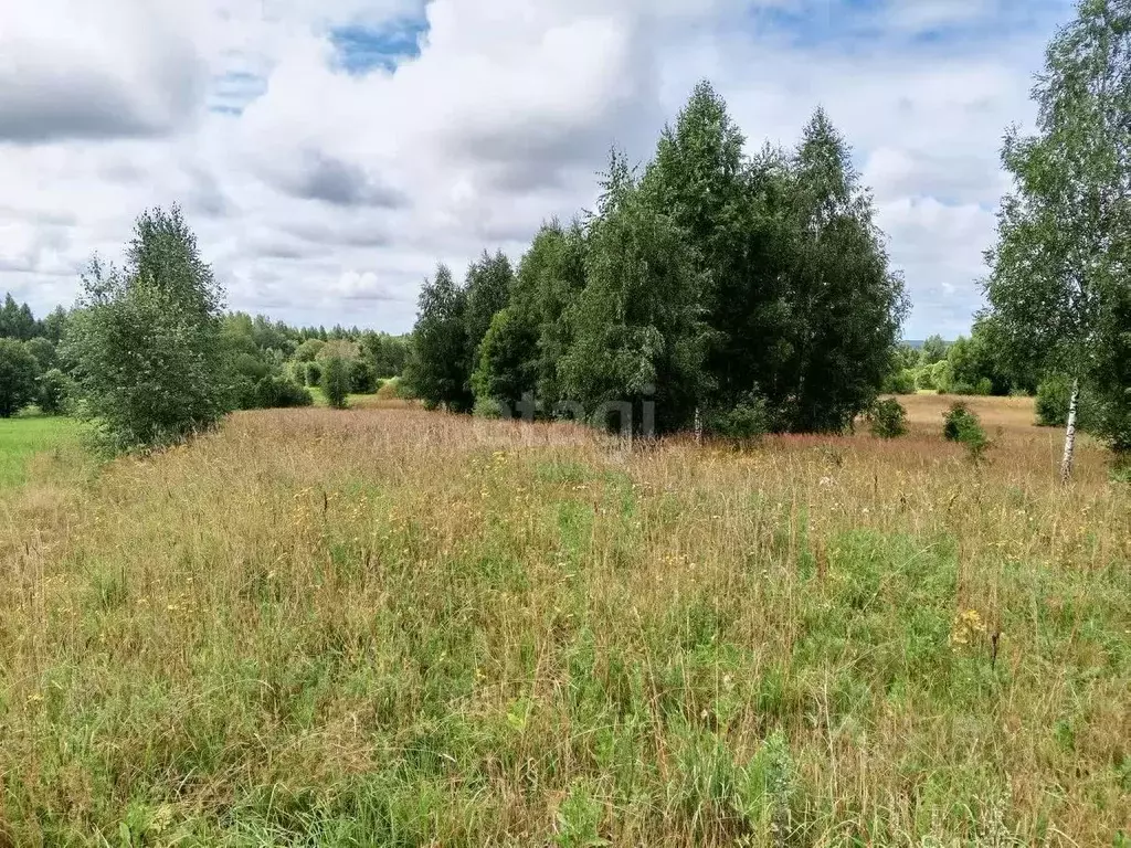 Участок в Псковская область, Пушкиногорье городское поселение, д. ... - Фото 2