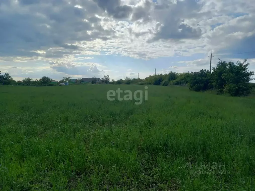 Участок в Белгородская область, Губкинский городской округ, с. ... - Фото 1