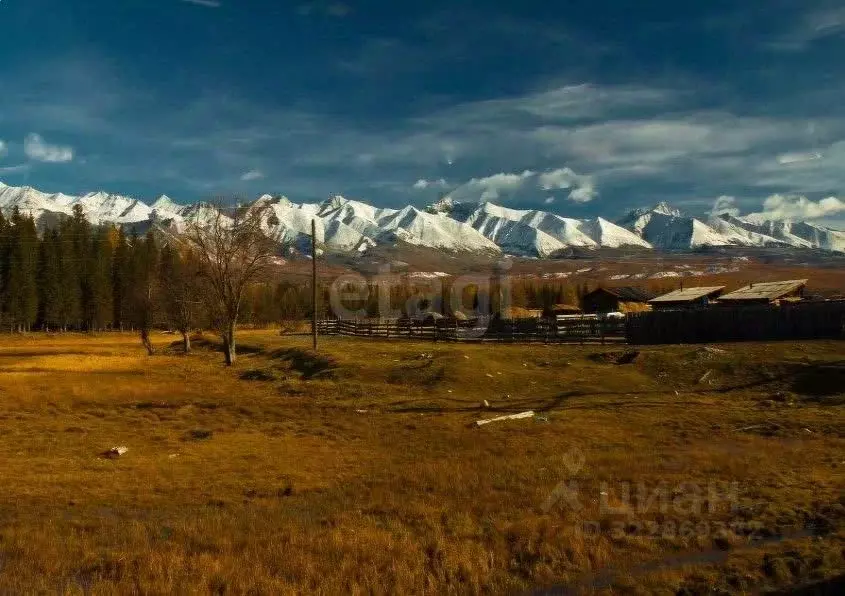 Участок в Иркутская область, Тулунский район, Аршанское муниципальное ... - Фото 1