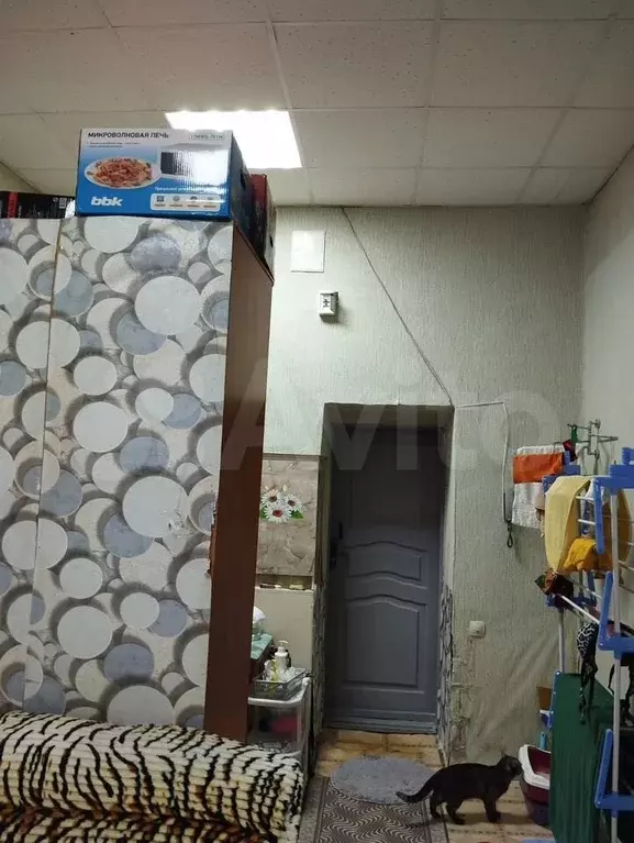 Комната 20,6 м в 4-к., 1/4 эт. - Фото 1