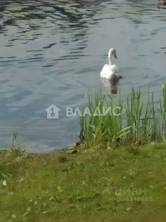 Участок в Московская область, Клин городской округ, Октава кп ул. ... - Фото 1