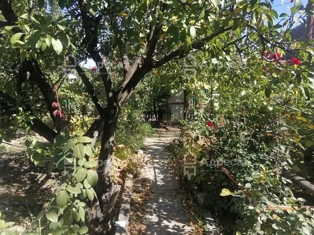 Дом в Волгоградская область, Волгоград Нефтяник СНТ,  (25 м) - Фото 2