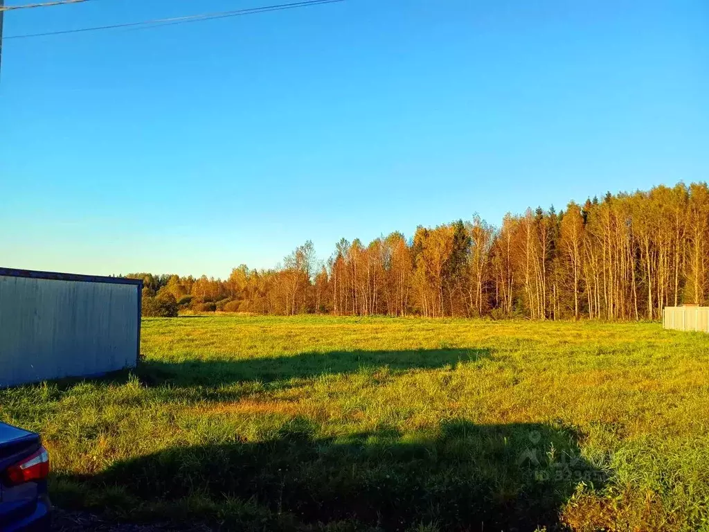 Участок в Московская область, Истра муниципальный округ, д. Загорье, ... - Фото 1