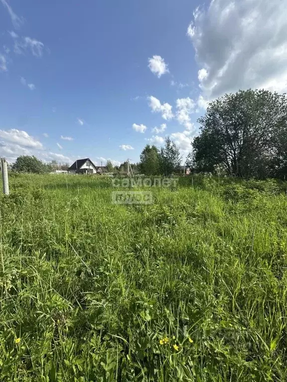 Участок в Московская область, Дмитров Советская пл. (8.0 сот.) - Фото 1
