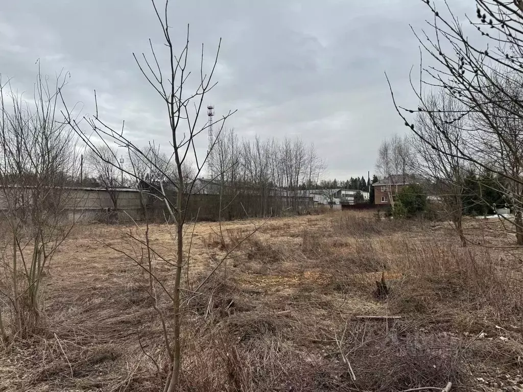 Участок в Московская область, Богородский городской округ, д. Молзино  ... - Фото 0