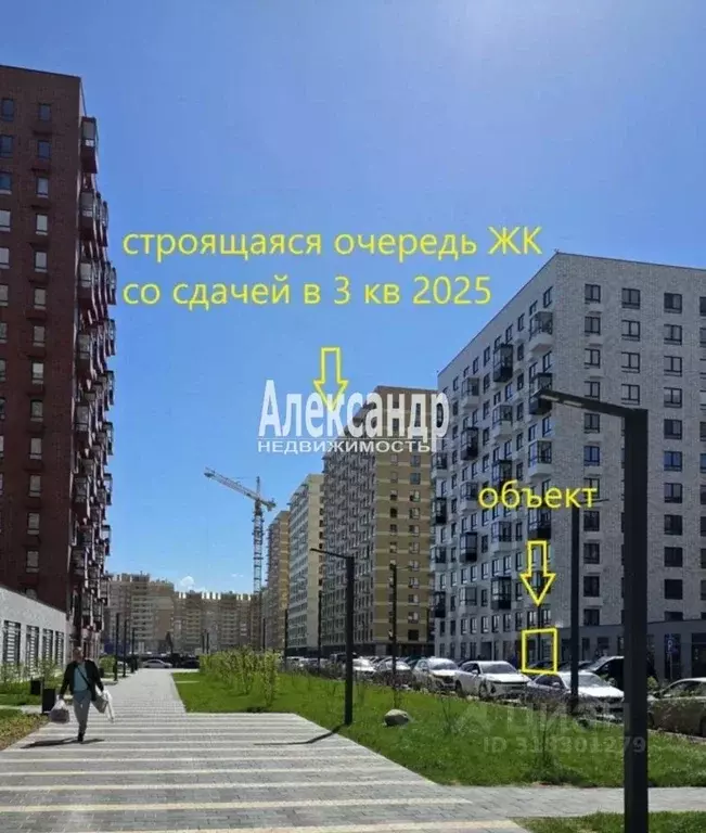 Торговая площадь в Ленинградская область, Всеволожский район, ... - Фото 1