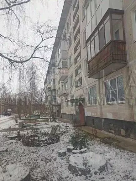 1-к кв. Ленинградская область, Тосненский район, Нурминское с/пос, д. ... - Фото 1