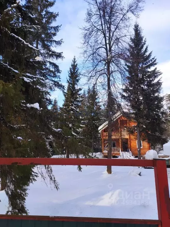 Помещение свободного назначения в Нижегородская область, Чкаловск ... - Фото 0