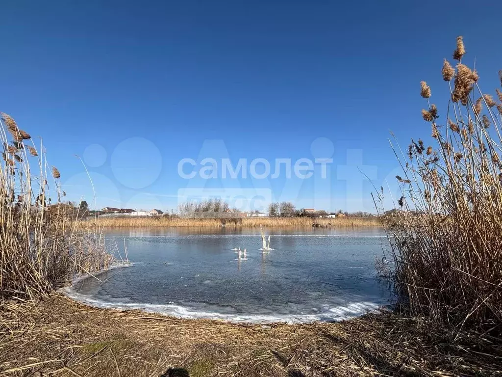 Дом 52,5 м на участке 21 сот. - Фото 0