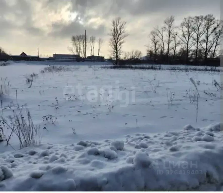 Участок в Башкортостан, Иглинский район, Балтийский сельсовет, ... - Фото 1